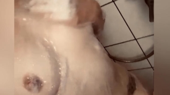 Foamy shower fun
