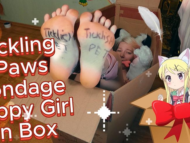 Bondage PuppyGirl In Box And Tickling Her Paws
