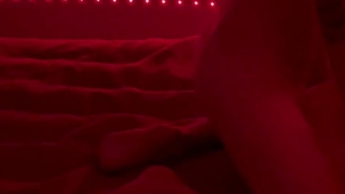 After a sloppy blowjob, I fucked her while she was wearing stockings.