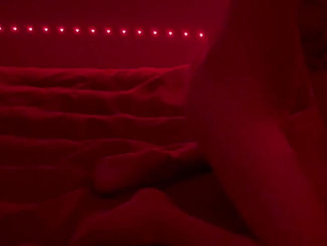 After a sloppy blowjob, I fucked her while she was wearing stockings.