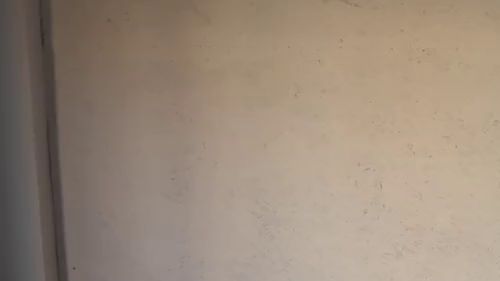 Guten Morgen (ohne ton)