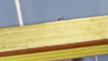 Has anyone ever had sex in the bathroom?