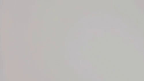 Introductory video! ??