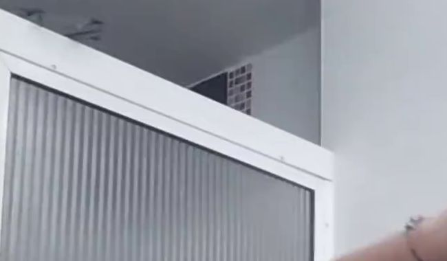 Starting the Day with Full Attitude,Dancing My Own Joy Without Limits – No Sound