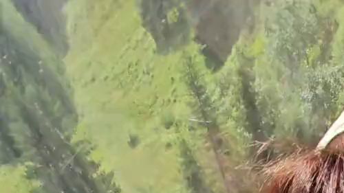 Sesslift gondola action