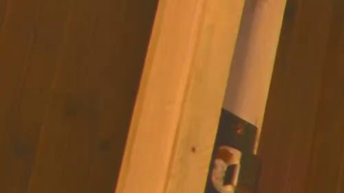 Come here, I’ll give you my wet ass.