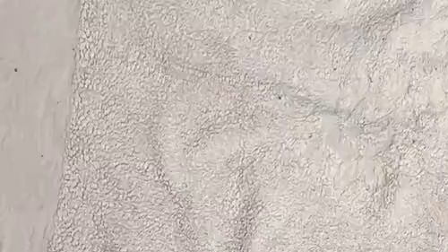 Natural breasts and sexy feet