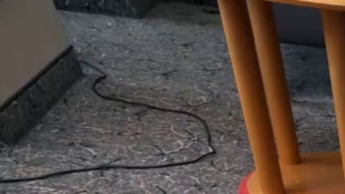 Pornstar Maria Gail Casting with Star