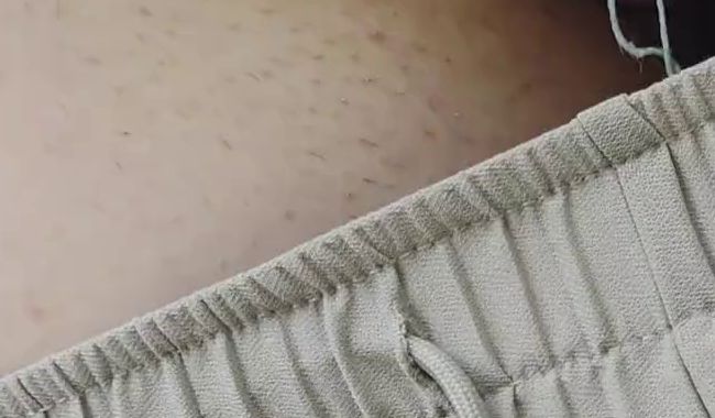 shirtless through the jungle